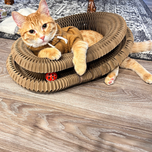 4 reasons why Kitty Kurlz is driving cats absolutely WILD (even the picky ones who ignore everything!)
