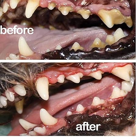 Cat & Dog Dental Cleaning Spray