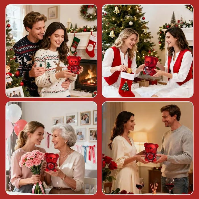 Teddy Bear with Real Preserved Rose & Necklace