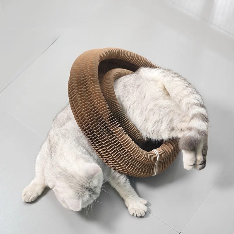 redtrinket pet